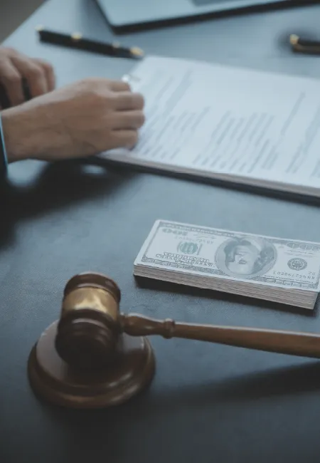 İcra ve İflas - Zwangsvollstreckung und Insolvenz